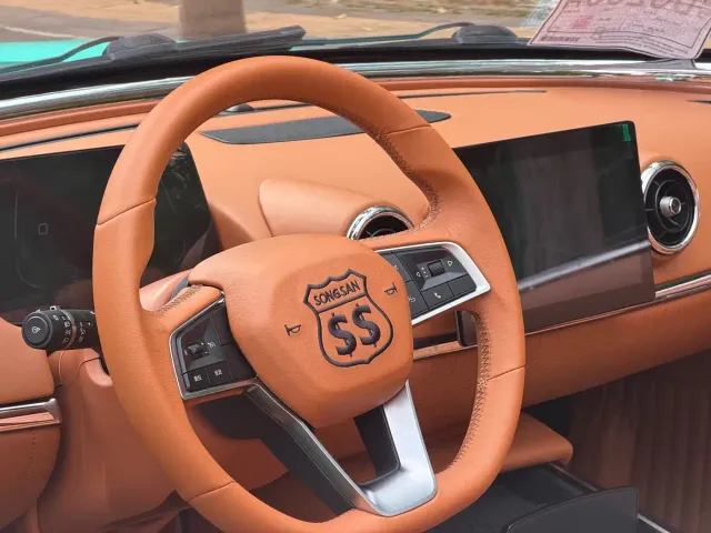 SONGSAN MOTORS SS DOLPHIN — Фото автомобиля 11