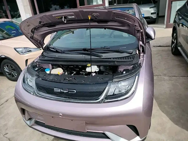 BYD Dolphin — Фото автомобиля 19
