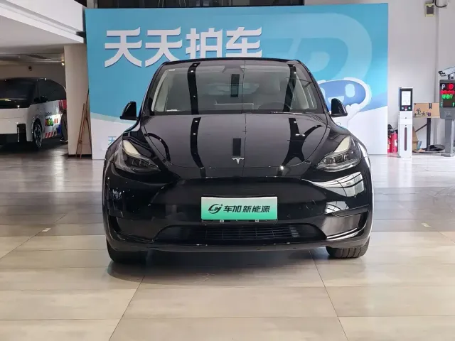 Tesla Model Y — Фото автомобиля 2
