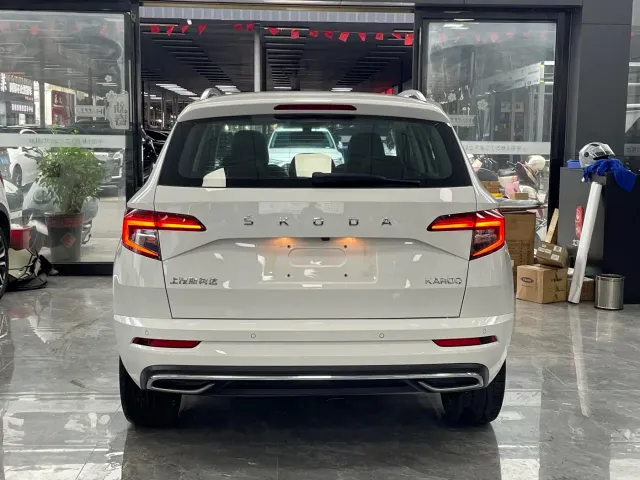 Skoda Karoq — Фото автомобиля 16