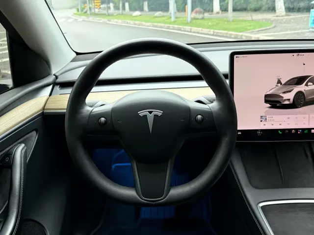 Tesla Model Y — Фото автомобиля 16