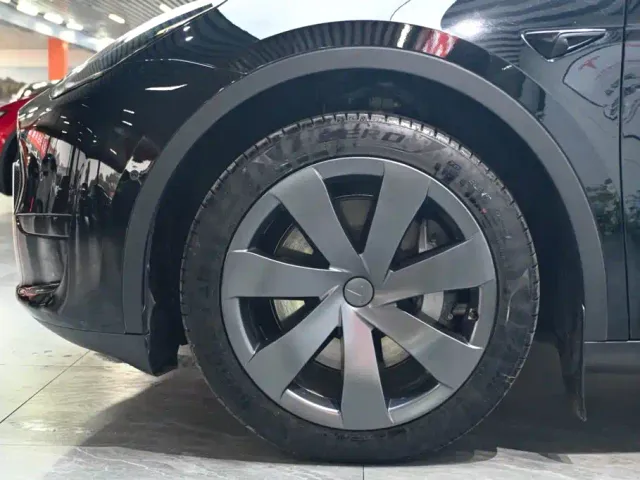Tesla Model Y — Фото автомобиля 22