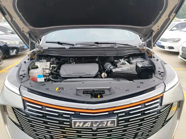 Haval Shenshou — Фото автомобиля 19