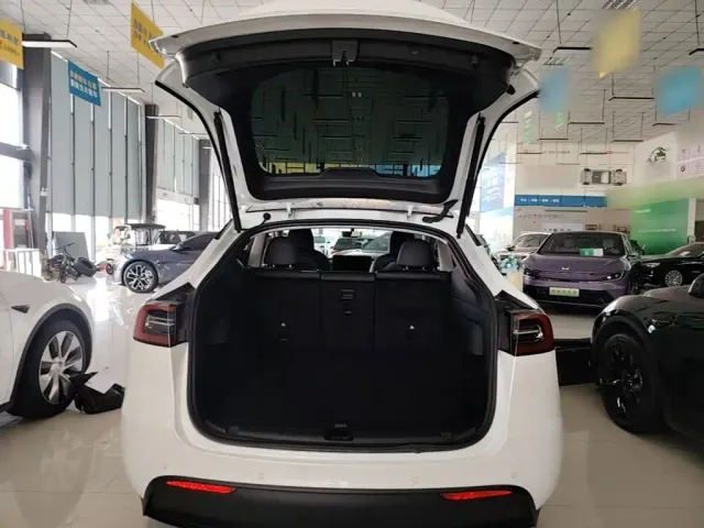 Tesla Model Y — Фото автомобиля 17