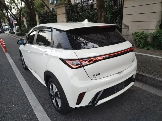 BYD Dolphin — Фото автомобиля 4