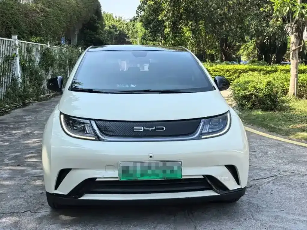 BYD Dolphin 2021 Model 405km Fashion Edition — Фото автомобиля 2