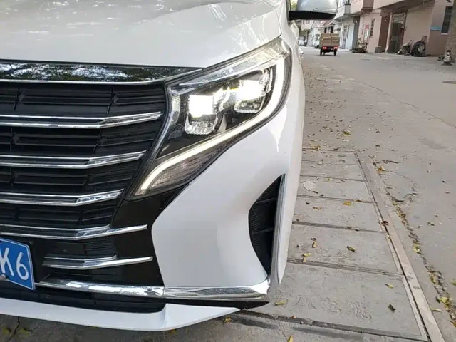 GAC Trumpchi M8 — Фото автомобиля 23