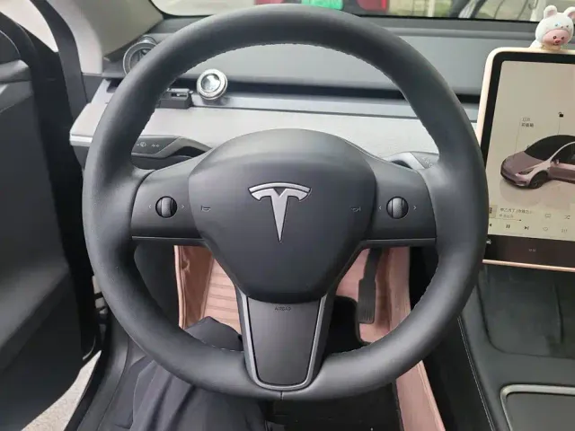 Tesla Model Y — Фото автомобиля 15