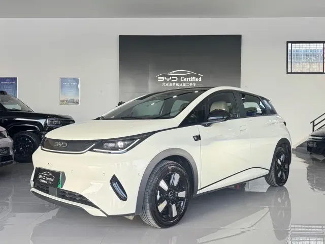 Фотография автомобиля — BYD Dolphin