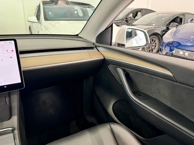 Tesla Model Y — Фото автомобиля 12