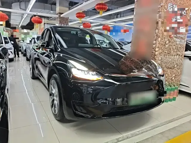 Tesla Model Y — Фото автомобиля 3