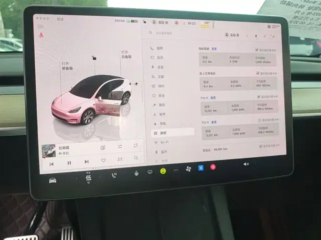Tesla Model Y — Фото автомобиля 11