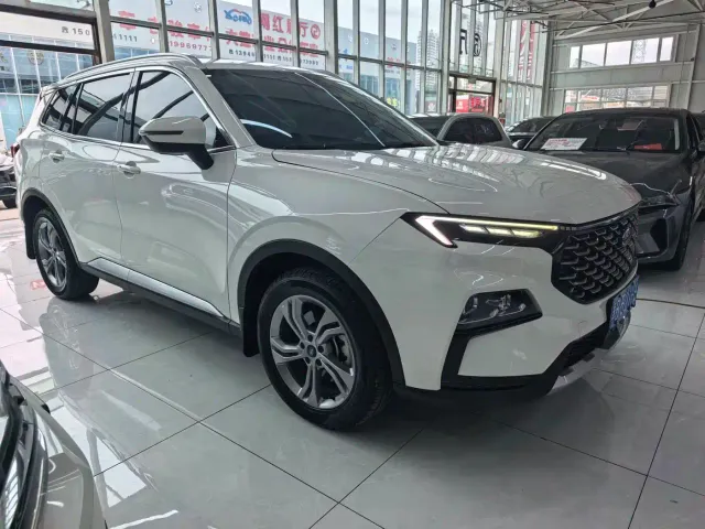 Фотография автомобиля — Ford Lingrui