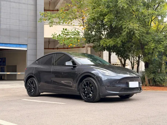 Tesla Model Y — Фото автомобиля 3