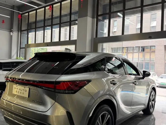 Lexus RX — Фото автомобиля 19