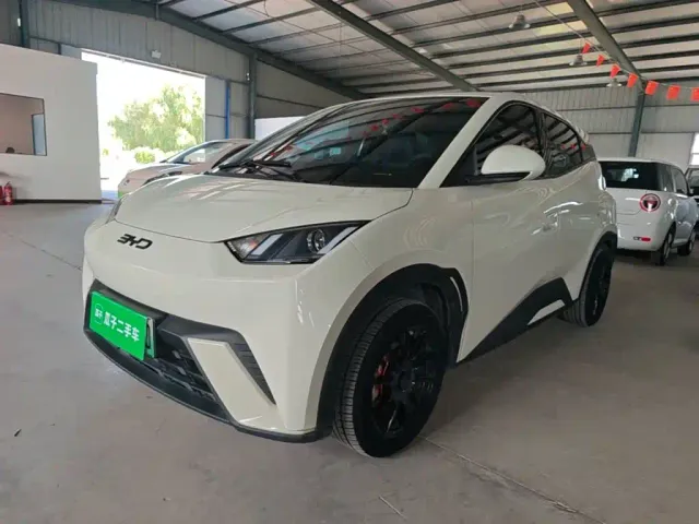 Фотография автомобиля — BYD Seagull