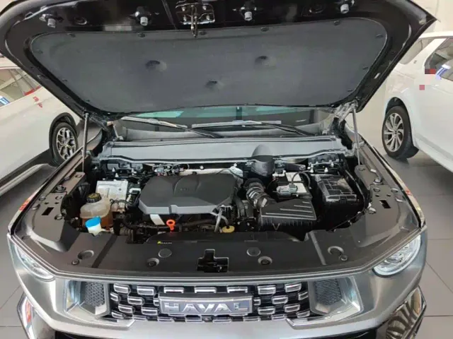 Haval Big Dog — Фото автомобиля 19