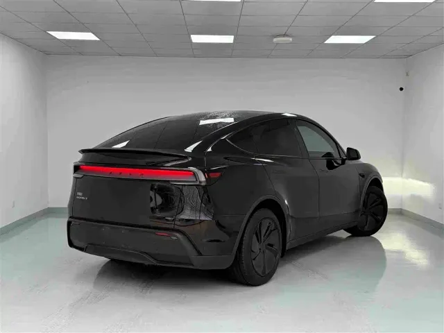 Tesla Model Y — Фото автомобиля 20