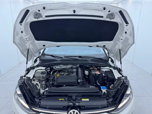 Volkswagen Lamando — Фото автомобиля 16