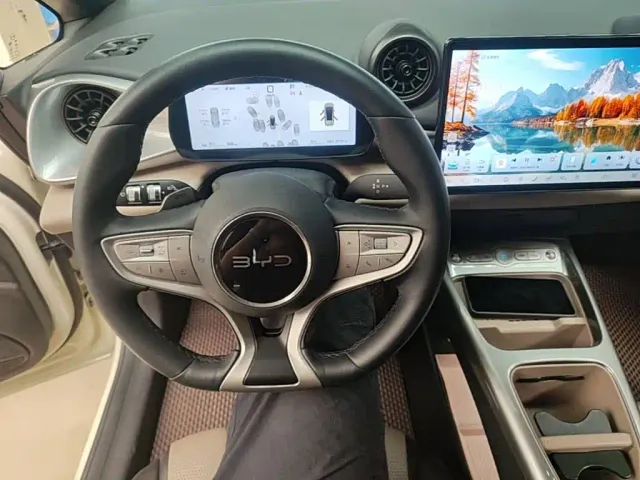 BYD Dolphin — Фото автомобиля 10