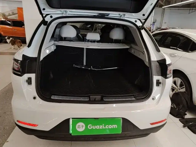 Leapmotor C11 — Фото автомобиля 14