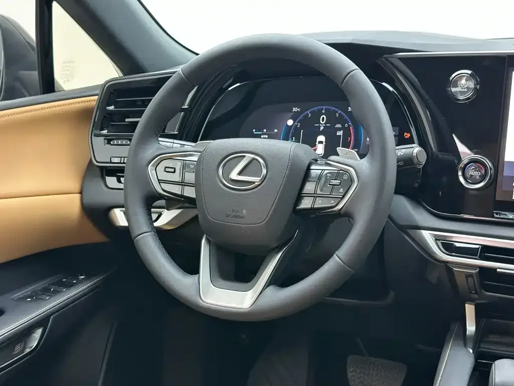 Lexus Lexus RX 2025 300 4WD Premium Edition — Фото автомобиля 17