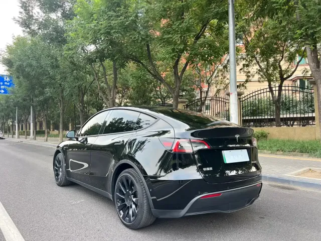 Tesla Model Y — Фото автомобиля 17