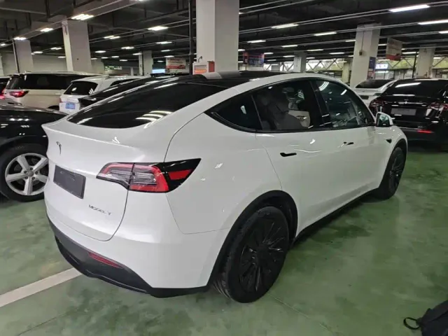 Tesla Model Y — Фото автомобиля 6