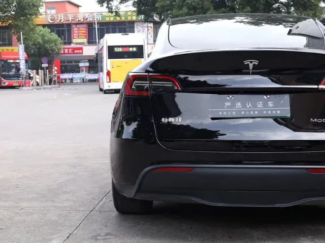 Tesla Model Y — Фото автомобиля 25