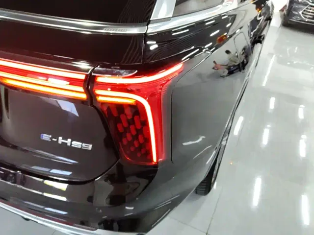 Hongqi E-HS9 — Фото автомобиля 7