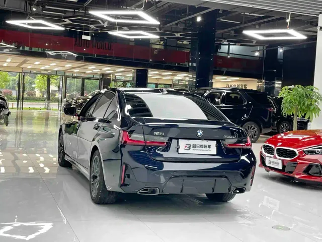 BMW 3 Series — Фото автомобиля 13