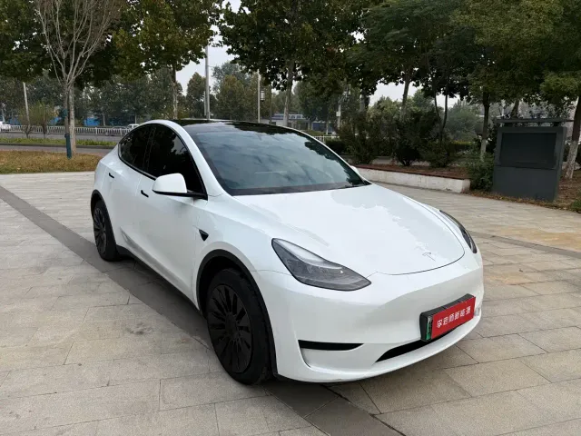 Tesla Model Y — Фото автомобиля 3