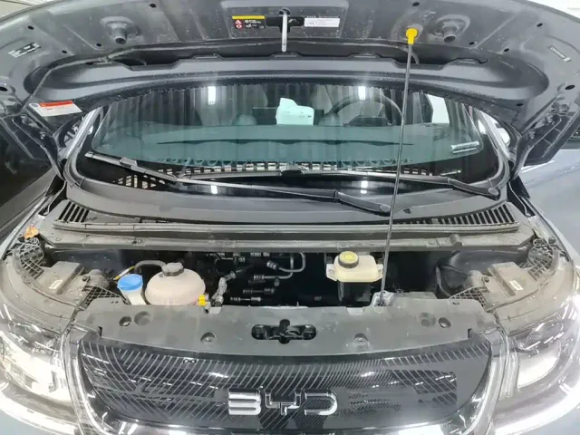 BYD Dolphin — Фото автомобиля 19