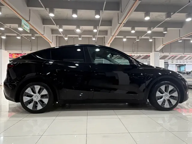 Tesla Model Y — Фото автомобиля 4