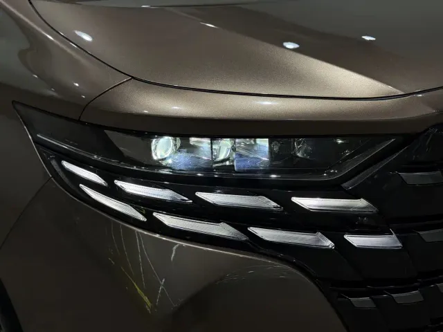 Toyota Alphard — Фото автомобиля 20