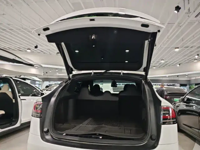 Tesla Model X — Фото автомобиля 18