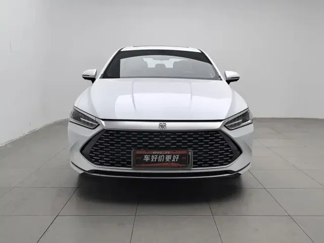 BYD Qin PLUS — Фото автомобиля 3