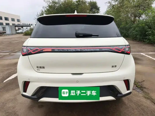 BYD Dolphin — Фото автомобиля 5