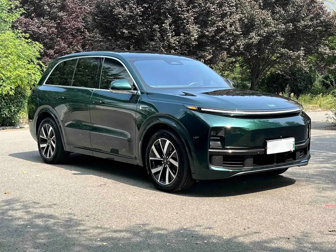 Li Auto Li L8 2023 Pro — Фото автомобиля 8