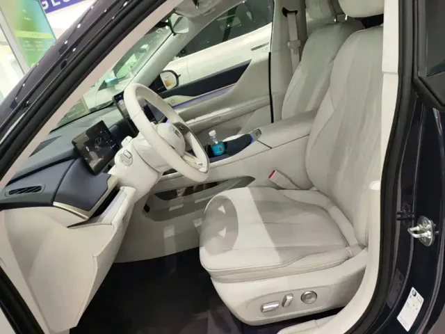 Buick Electra L7 — Фото автомобиля 14