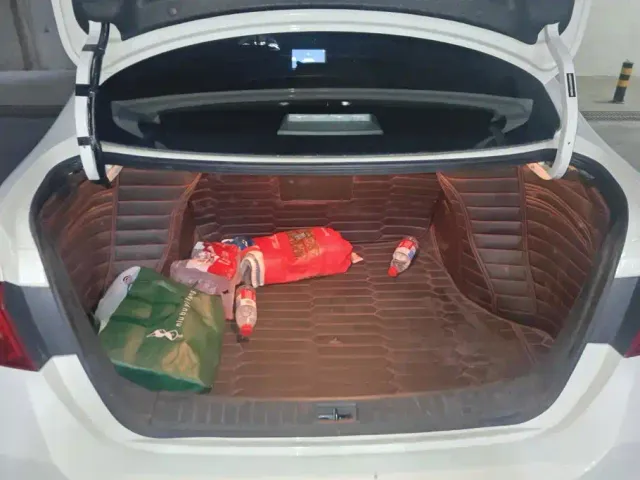 Nissan Sylphy — Фото автомобиля 4