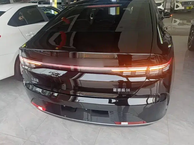 BYD Destroyer 05 — Фото автомобиля 5