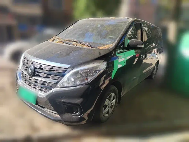 Фотография автомобиля — Forthing Lingzhi PLUS