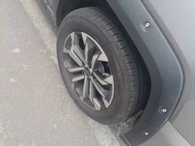Haval Big Dog — Фото автомобиля 24