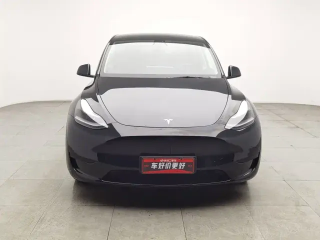 Tesla Model Y — Фото автомобиля 3