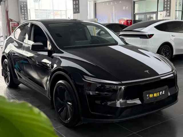Tesla Model Y — Фото автомобиля 3