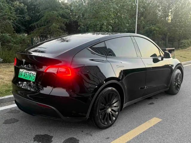 Tesla Model Y — Фото автомобиля 13