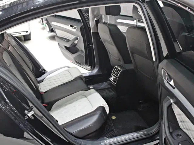 Volkswagen Magotan 2024 2 Million Units Public Sharing Edition 330TSI DSG Luxury — Фото автомобиля 12