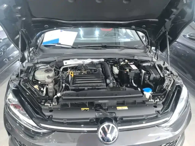 Volkswagen Lamando — Фото автомобиля 19