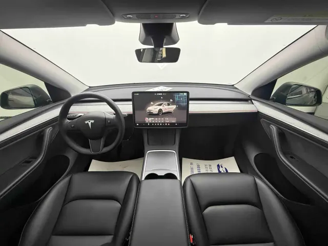 Tesla Model Y — Фото автомобиля 3